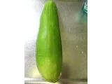 Oriental pickling melon