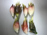 蘘荷