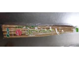 Edible burdock