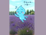 イングリッシュラベンダー
