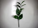 叶上花