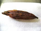 クチナシ