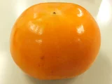 林柿 「富有柿」