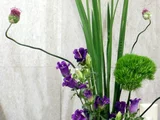 小花葱