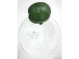 シークヮーサー