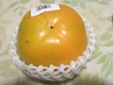 林柿