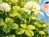 白三葉草