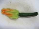 Zucchini