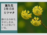結香