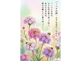 バーベナ