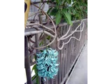 Jade vine