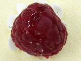 レッドラズベリー