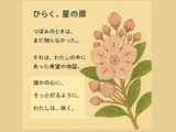 Kalmia latifolia