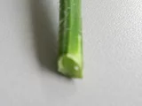 ハルジオン