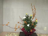 ツルウメモドキ