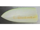 Winter melon