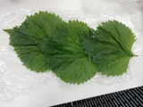 Perilla crispa