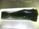 コンブ
