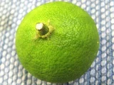 酢橘