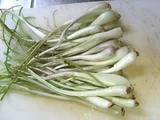 Okinawa shallot