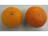 Natsudaidai orange
