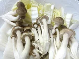 鴻喜菇