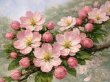 Hall crabapple