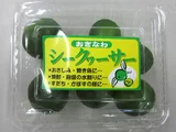 シークヮーサー