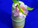 椿 土佐有楽