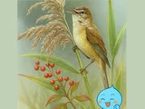 ヨシ
