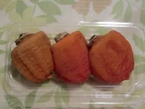 Persimmon tree