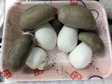 玉蕈离褶伞