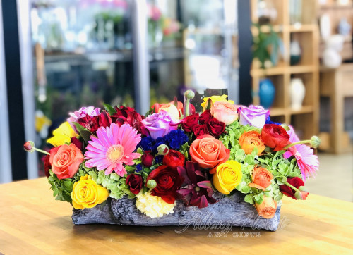 Colorful Arrangement