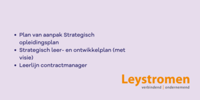 Leystromen visie