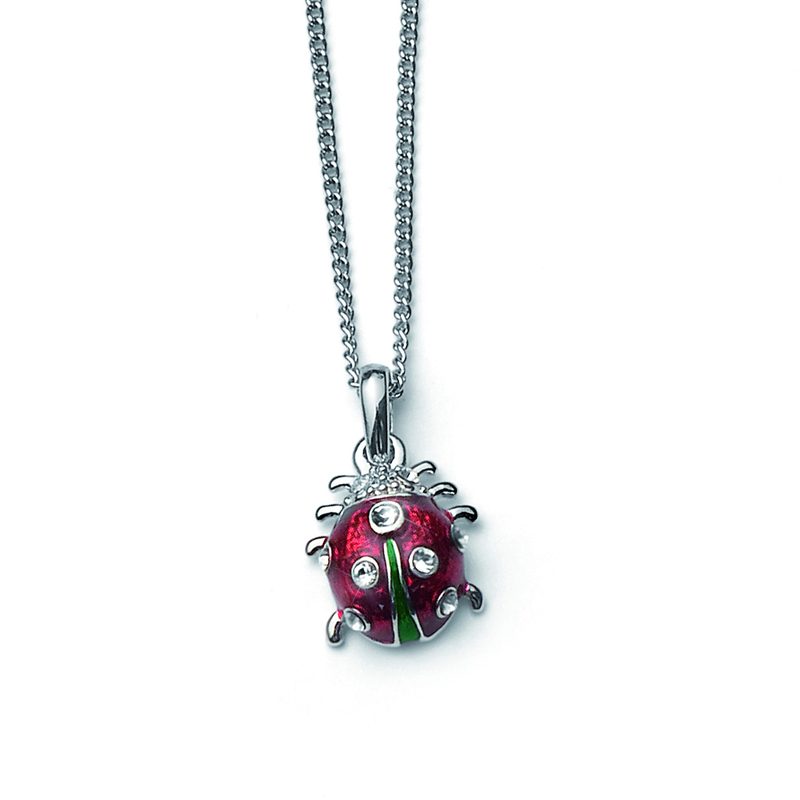 Ladybug