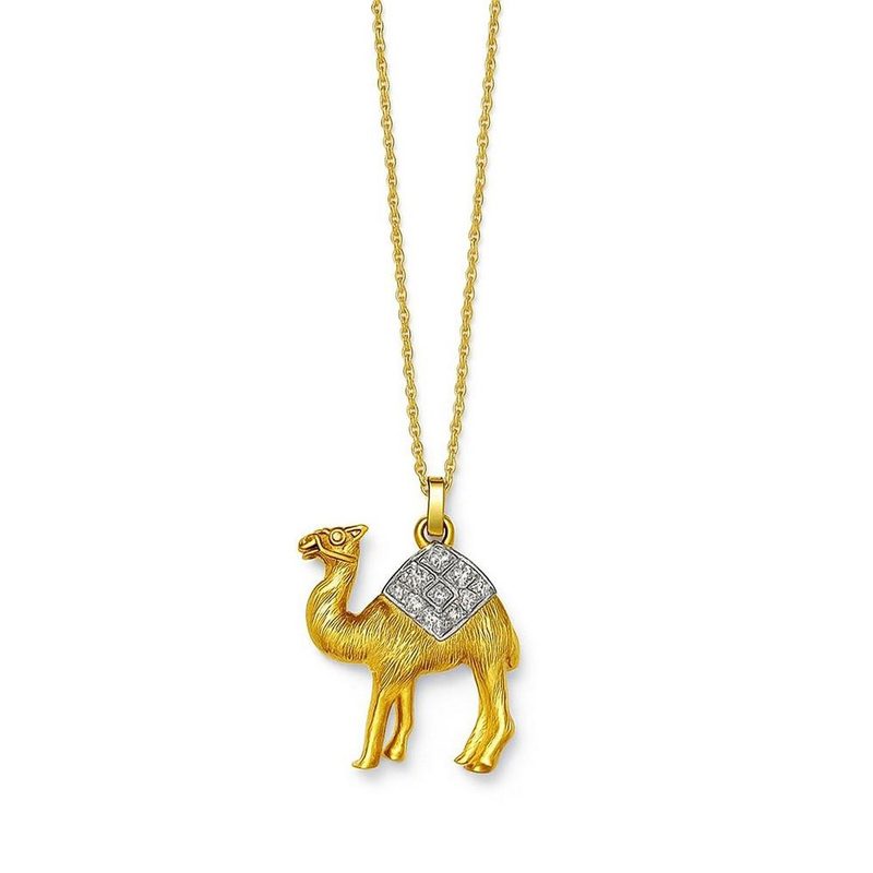 Camel