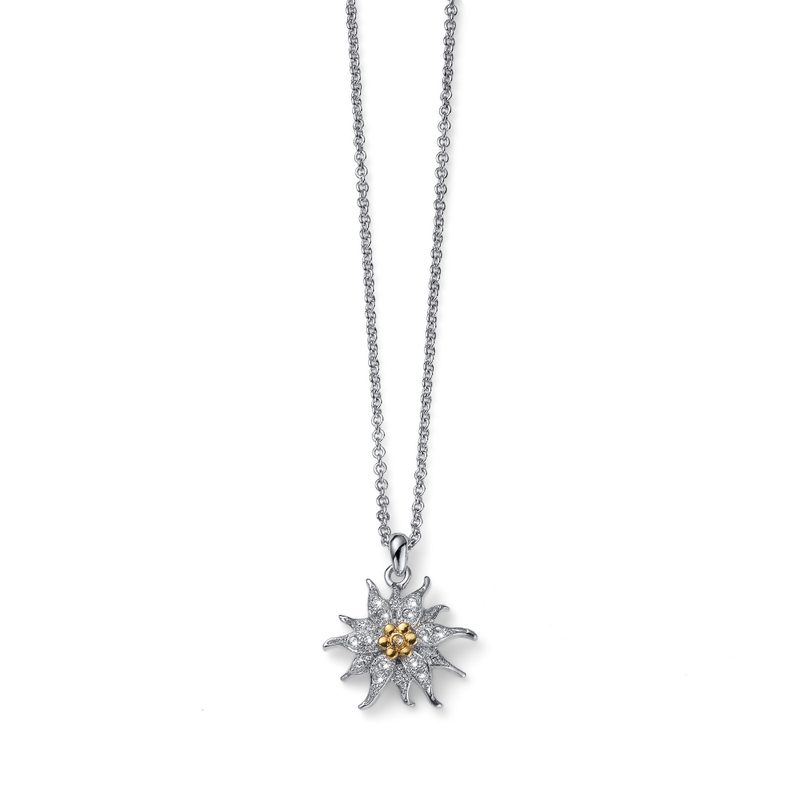 Edelweiss