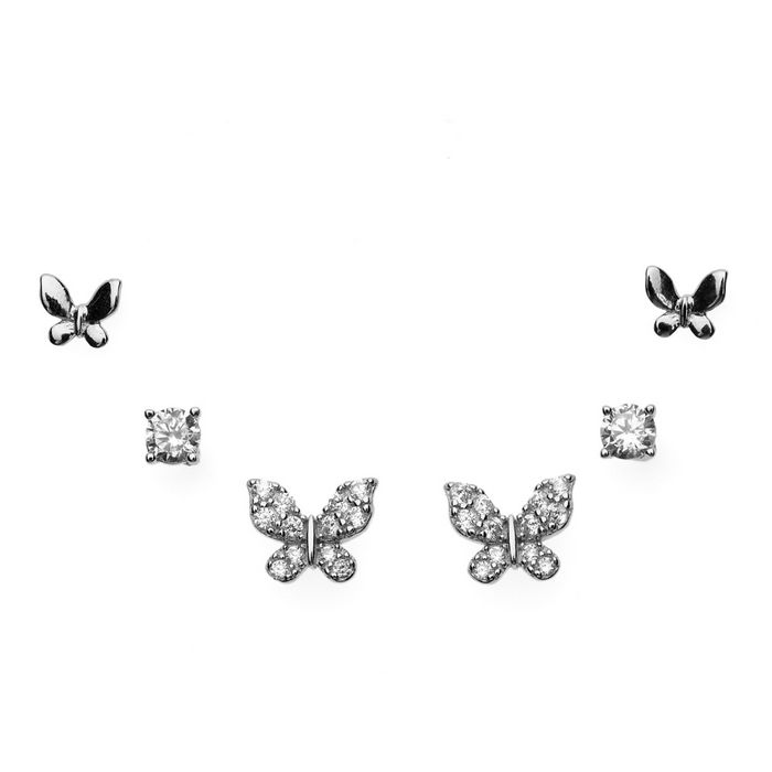 Papilio