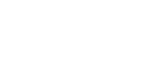 Loading animation