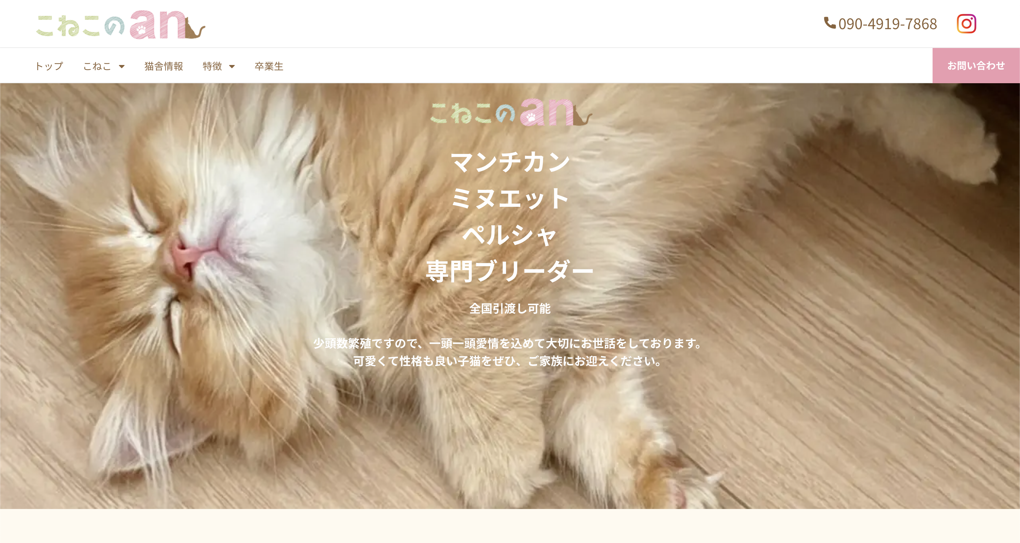 No.1522 ジャンピング猫 いちご ezipossolutions.com