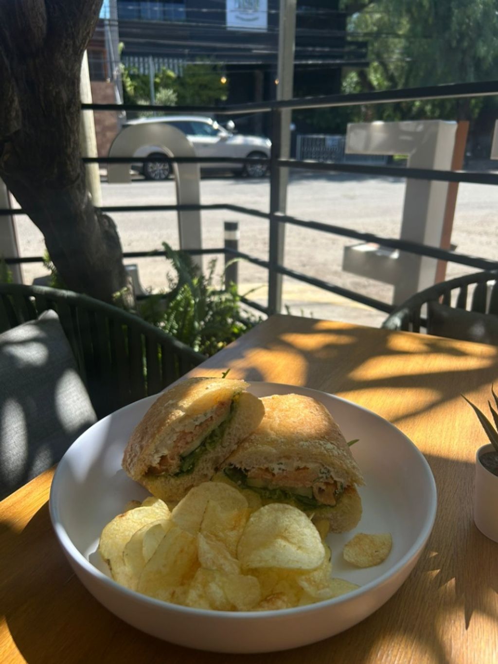 Salmón