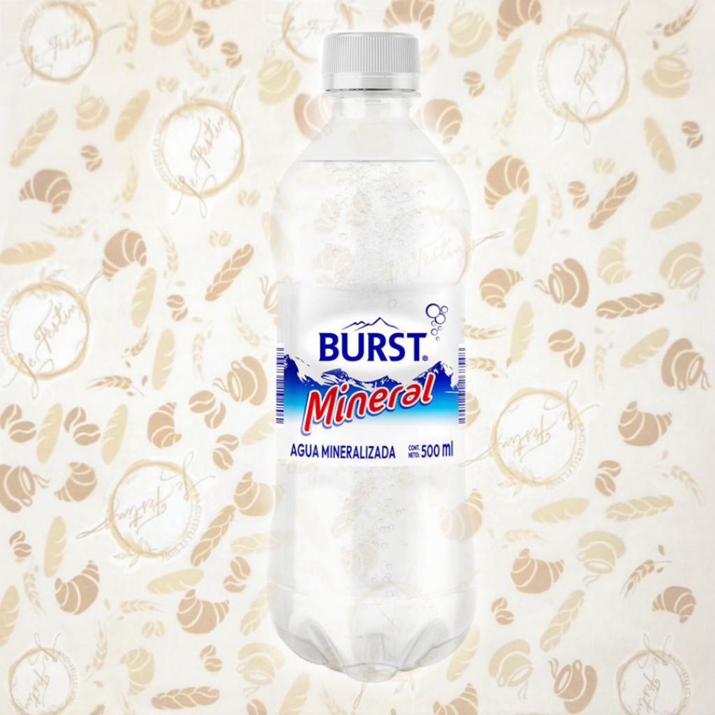 Agua mineral 500 ml