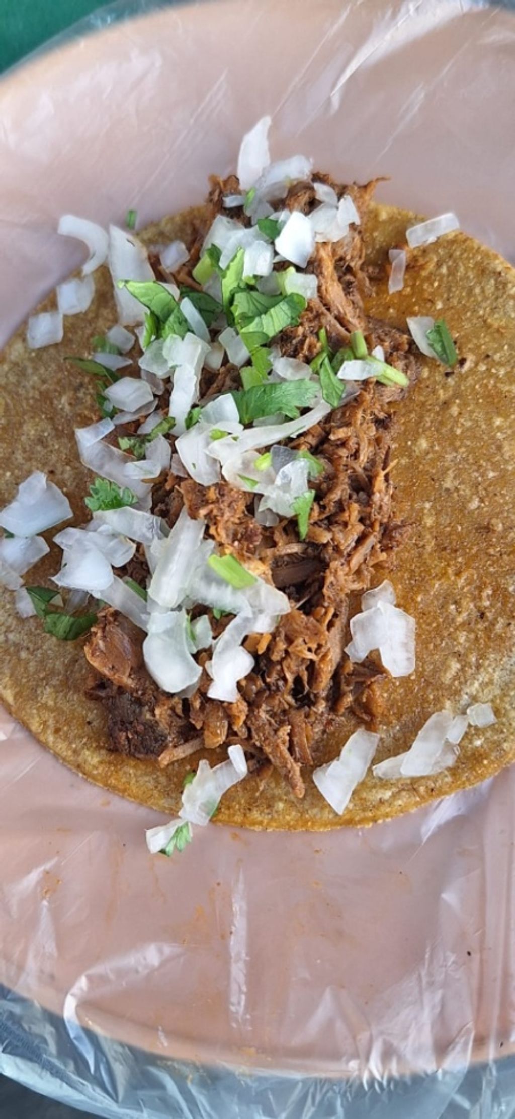 Taco de Birria