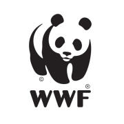 avatar logo