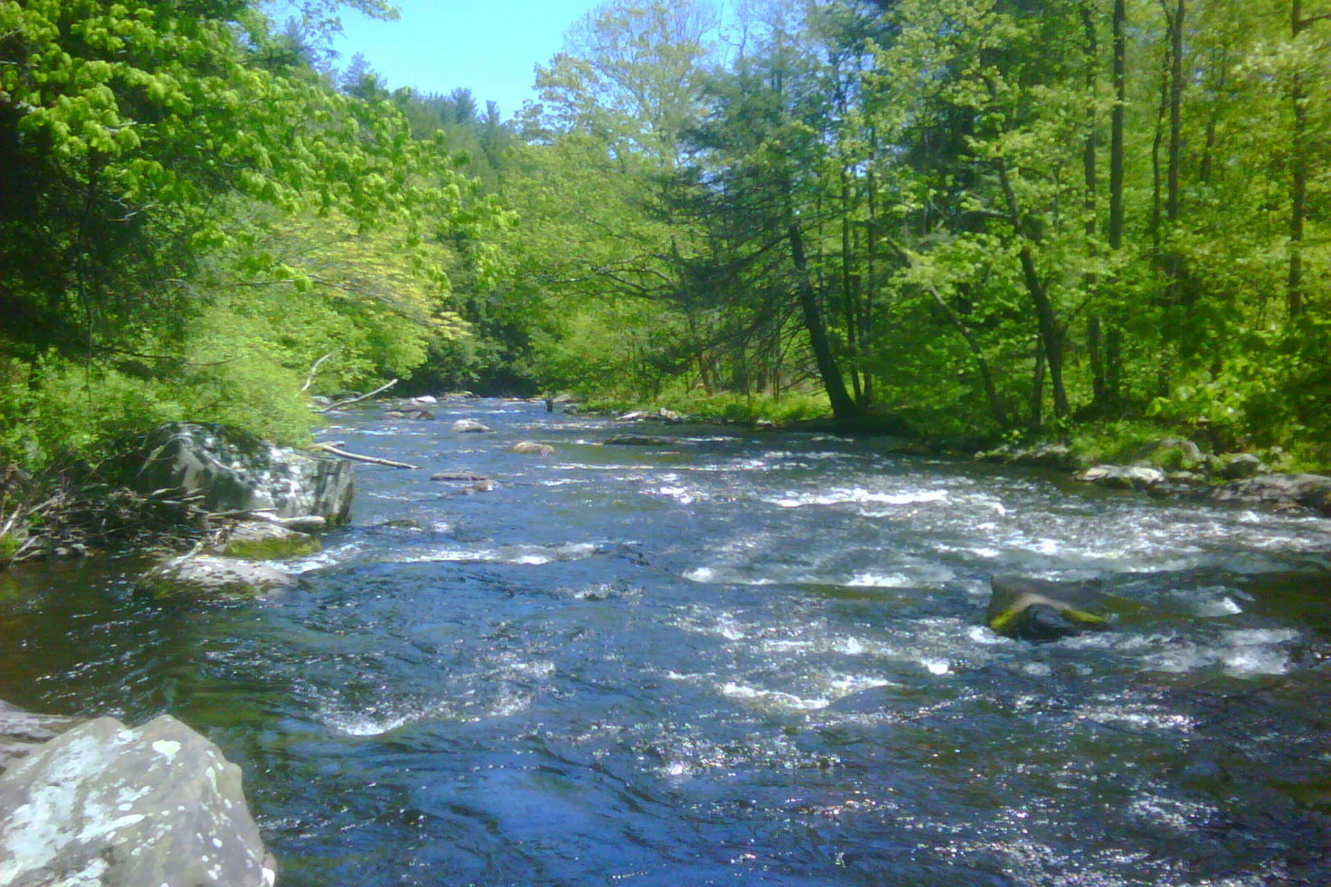 Big Bushkill Creek preview photo