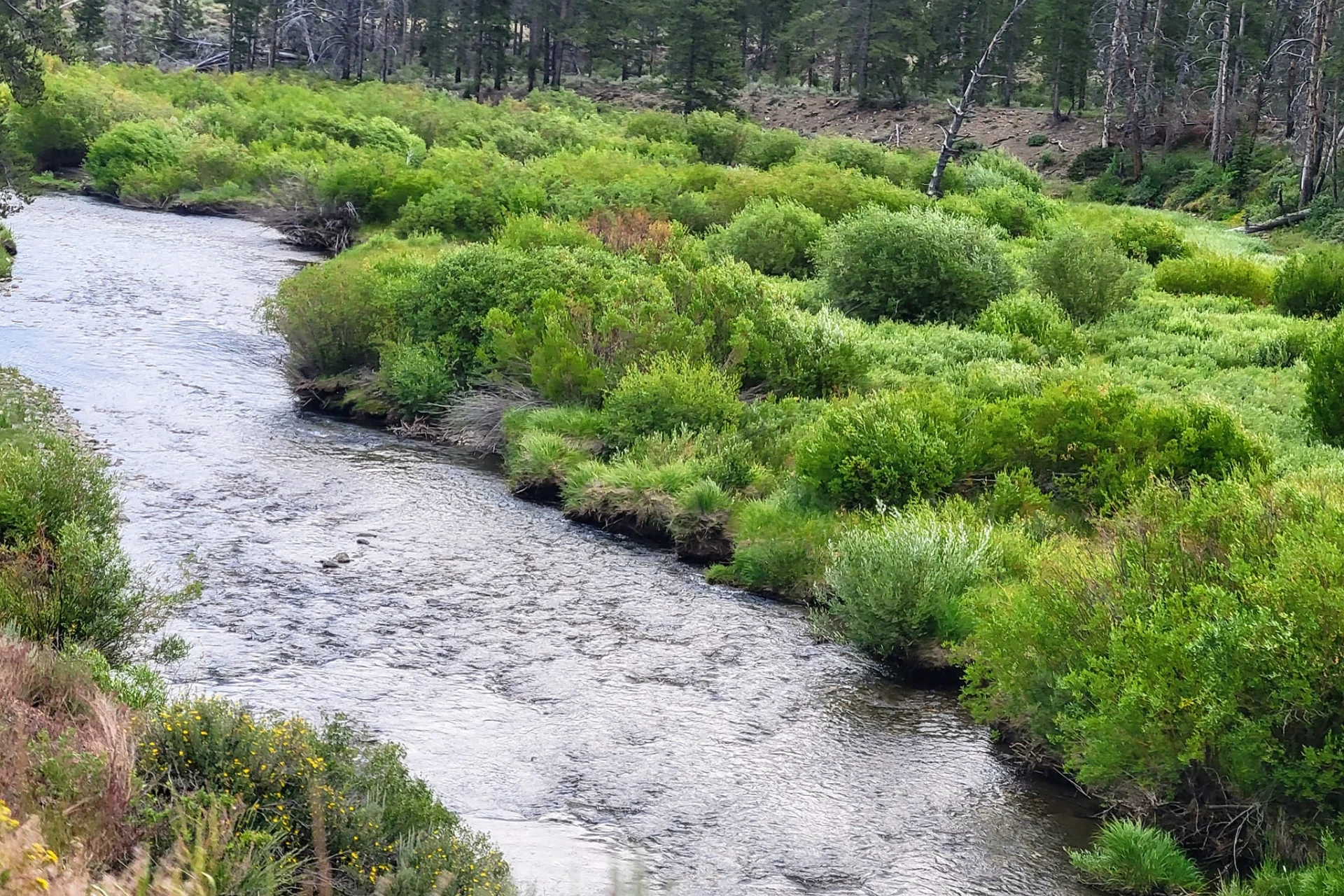 Big Lost River - North Fork preview photo