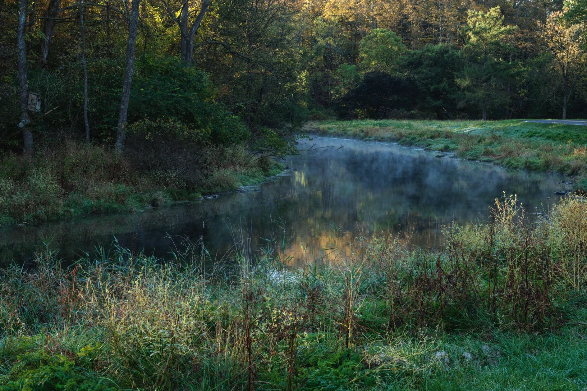 Big Spring Creek preview photo