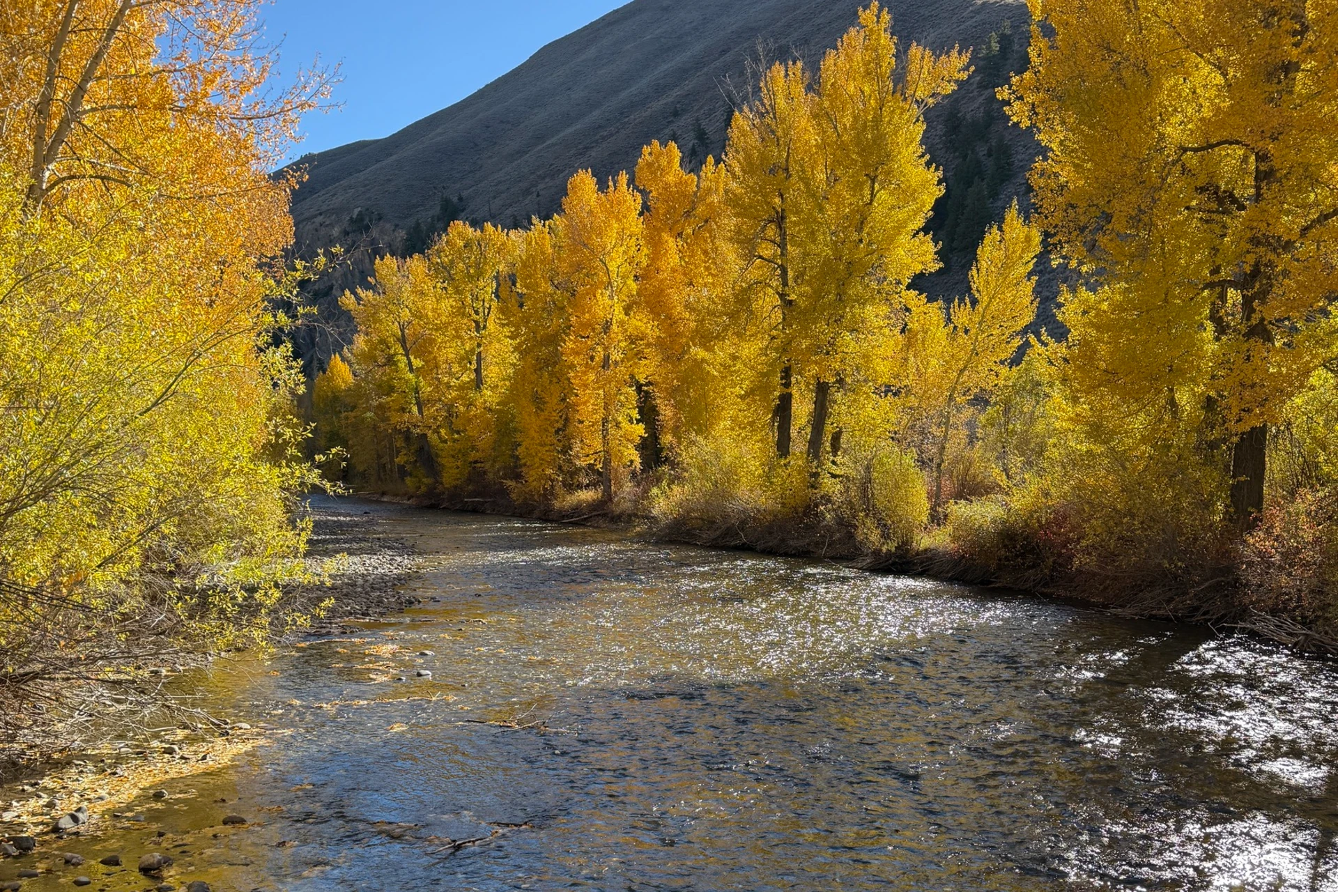 Big Wood River preview photo