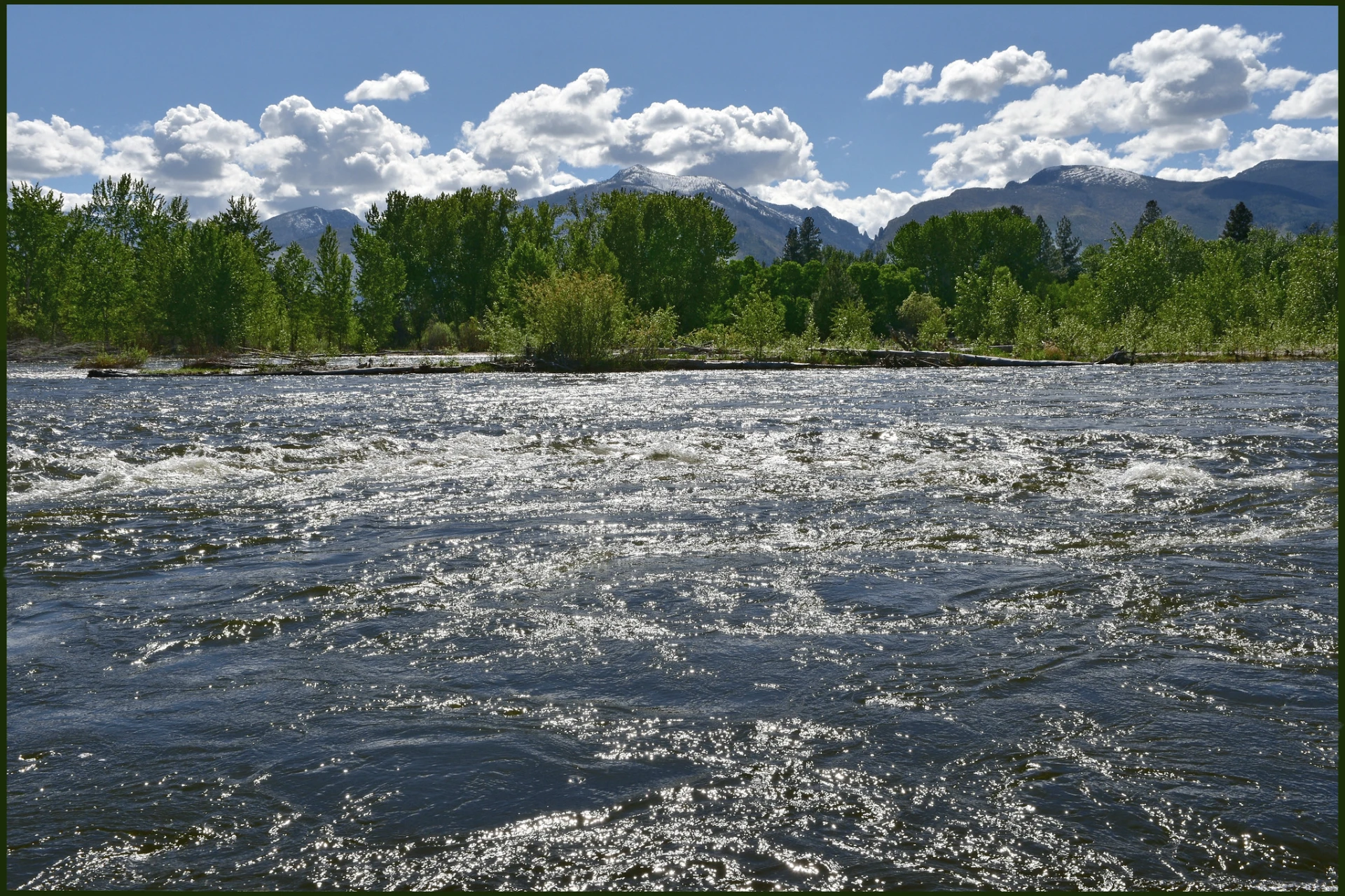 Bitterroot River preview photo
