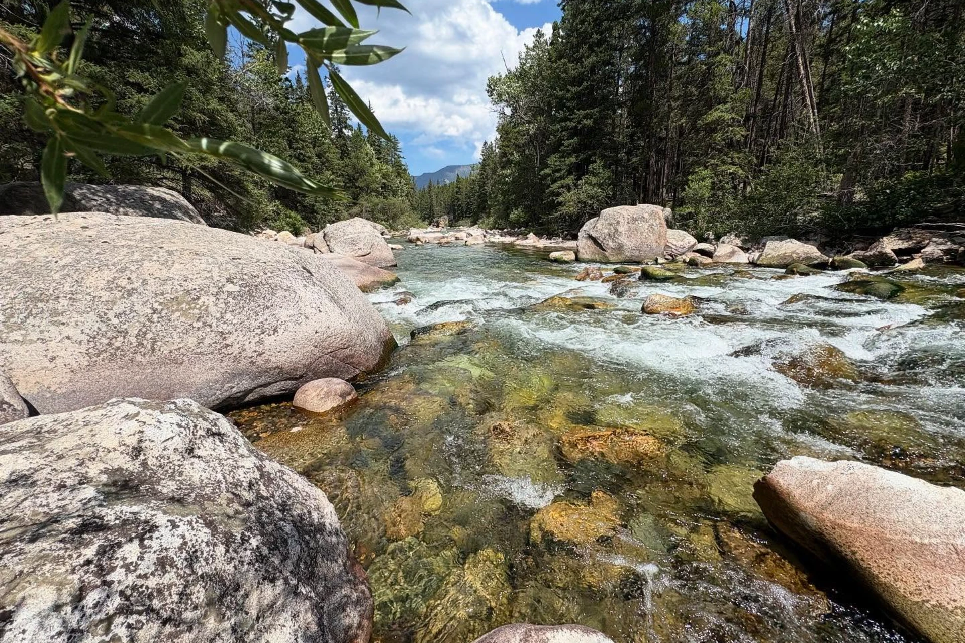 Boulder River preview photo